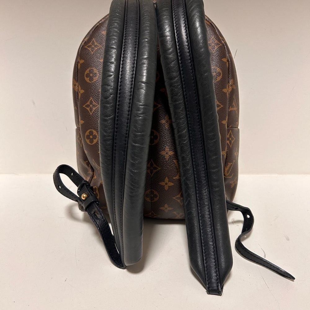 SOLD Louis Vuitton Palm Springs PM - Picture 4 of 15